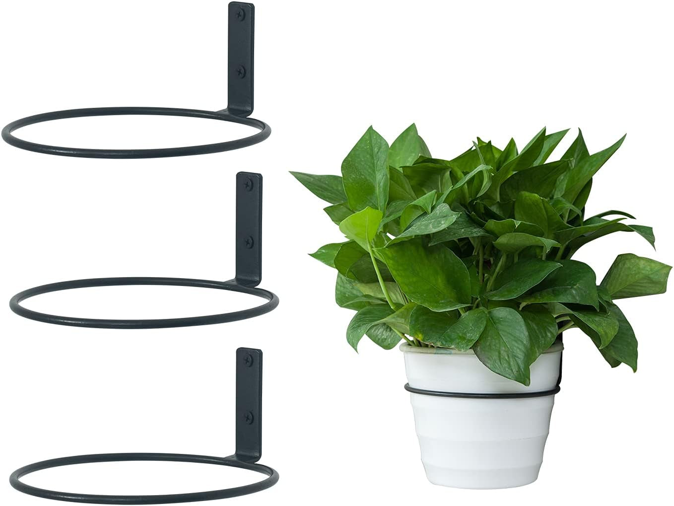6 Inch Flower Plant Holder Ring Wall Mounted Metal Plant Pot Hanger, Set of 6 Pot Ring Plant Wall Hanger, Planter Bracket, Iron Black
